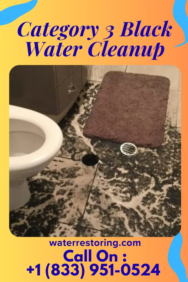 Category 3 Black Water Cleanup in Caldwell, NJ