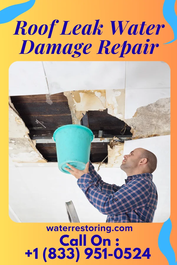 Roof Leak Water Damage Repair in Caldwell, NJ