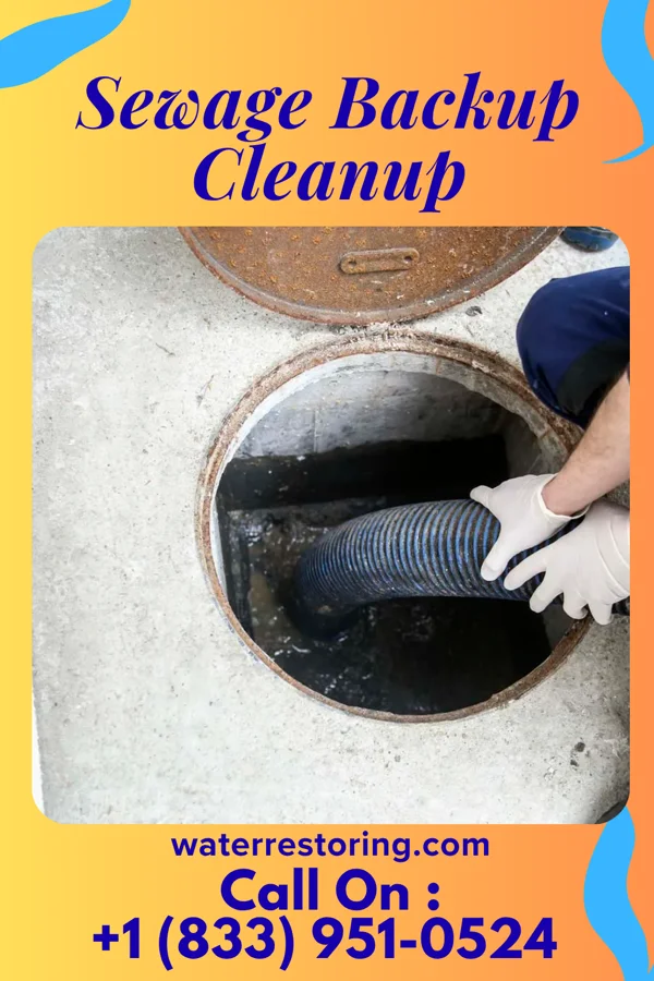 Sewage Backup Cleanup in Caldwell, NJ